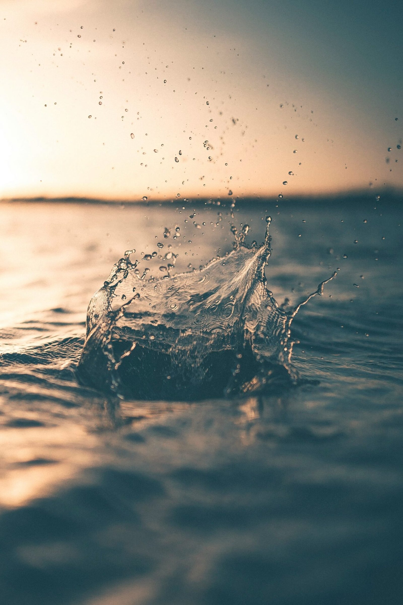 Transformando nuestra salud: El impacto de un sistema de filtración de agua en casa
